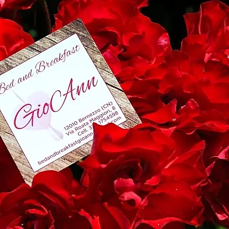 Gioann Bed & Breakfast 3*