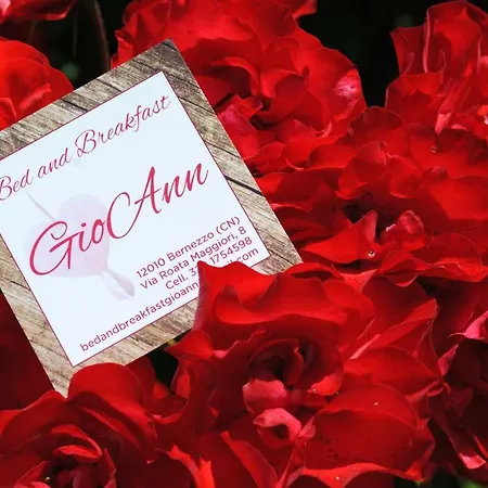 Gioann Bed & Breakfast